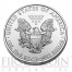 USA American Silver Eagle Four Seasons Colored 4 Four Coin Set 2013